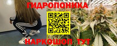 бошки Обь