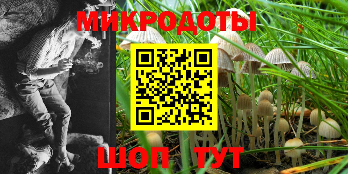 Псилоцибиновые грибы GOLDEN TEACHER  Псилоцибиновые грибы мицелий  Вход с VPN  Сланцы 